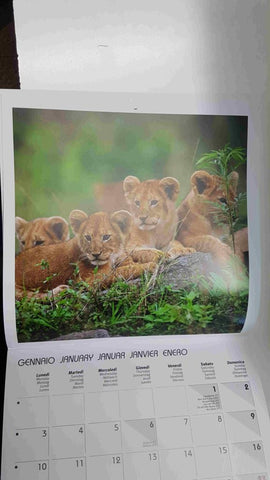 Calendario / Kalender / Calendrier / Calendar: 2011 : Puppies (animales) - lamina 01