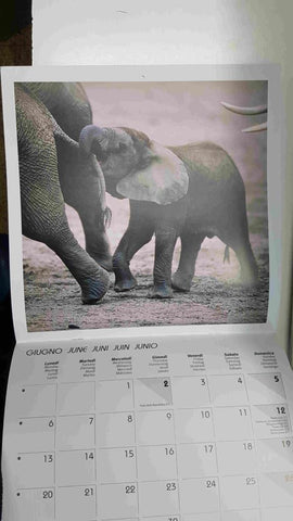 Calendario / Kalender / Calendrier / Calendar: 2011 : Puppies (animales) - lamina 06