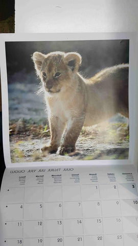 Calendario / Kalender / Calendrier / Calendar: 2011 : Puppies (animales) - lamina 07