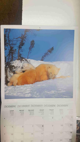 Calendario / Kalender / Calendrier / Calendar: 2011 : Puppies (animales) - lamina 12
