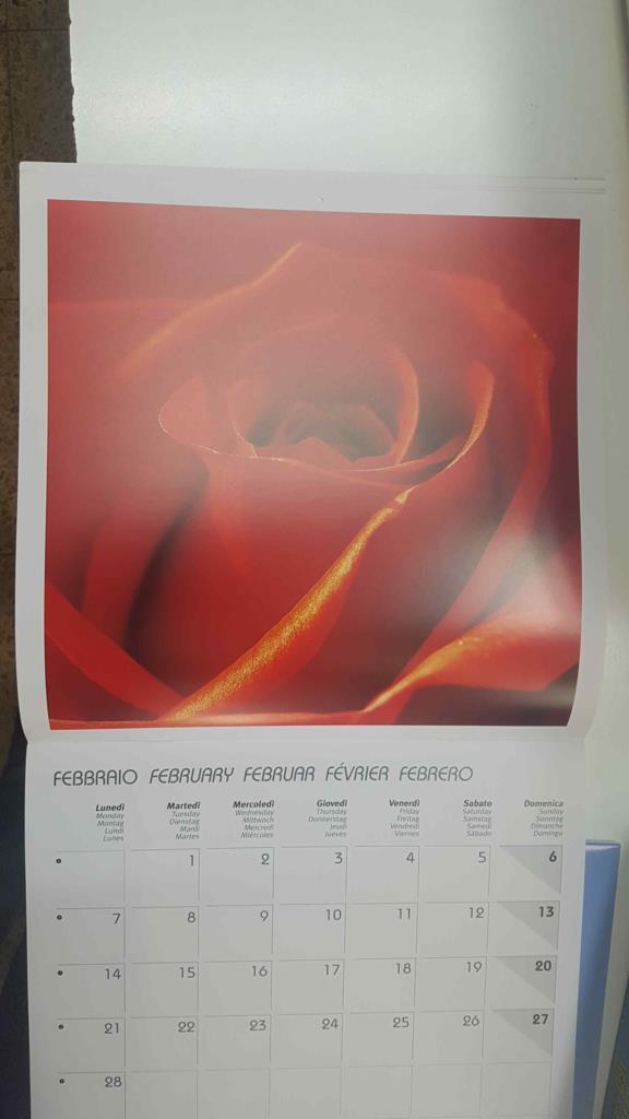 Calendario / Kalender / Calendrier / Calendar: 2011 : Roses (Rosas) - lamina 02
