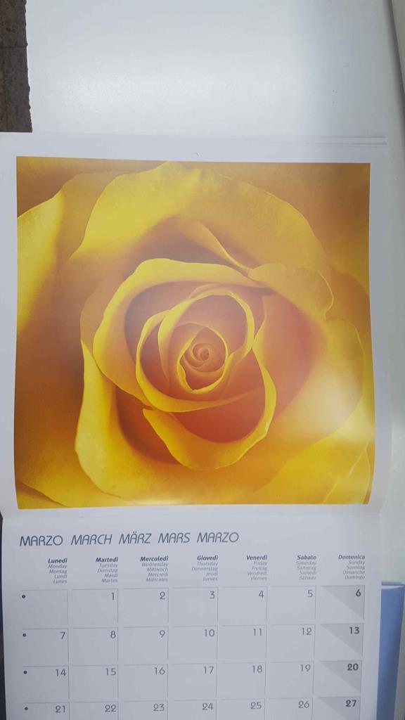 Calendario / Kalender / Calendrier / Calendar: 2011 : Roses (Rosas) - lamina 03