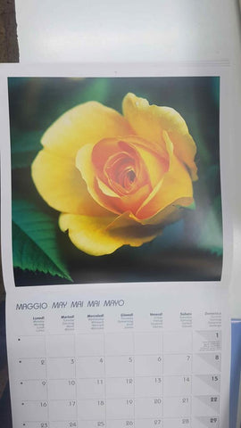 Calendario / Kalender / Calendrier / Calendar: 2011 : Roses (Rosas) - lamina 05