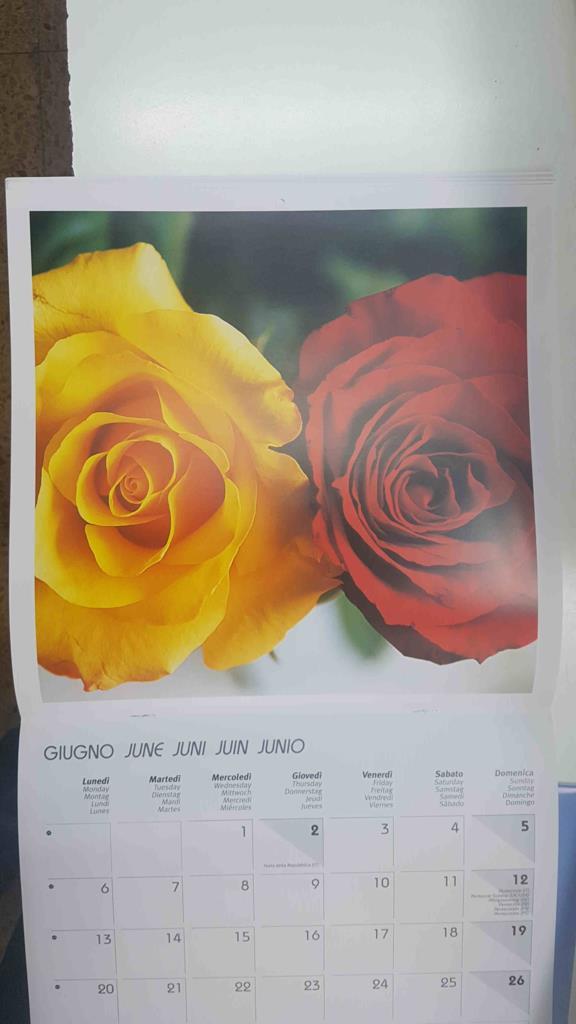 Calendario / Kalender / Calendrier / Calendar: 2011 : Roses (Rosas) - lamina 06