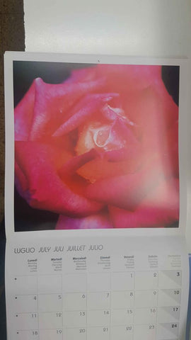 Calendario / Kalender / Calendrier / Calendar: 2011 : Roses (Rosas) - lamina 07