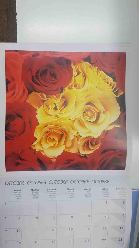Calendario / Kalender / Calendrier / Calendar: 2011 : Roses (Rosas) - lamina 10