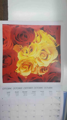 Calendario / Kalender / Calendrier / Calendar: 2011 : Roses (Rosas) - lamina 10