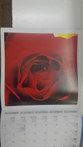 Calendario / Kalender / Calendrier / Calendar: 2011 : Roses (Rosas) - lamina 11