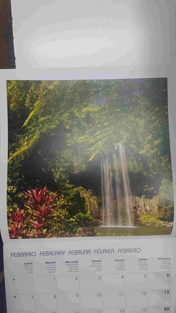 Calendario / Kalender / Calendrier / Calendar: 2011 : Waterfalls / cataratas - lamina 02