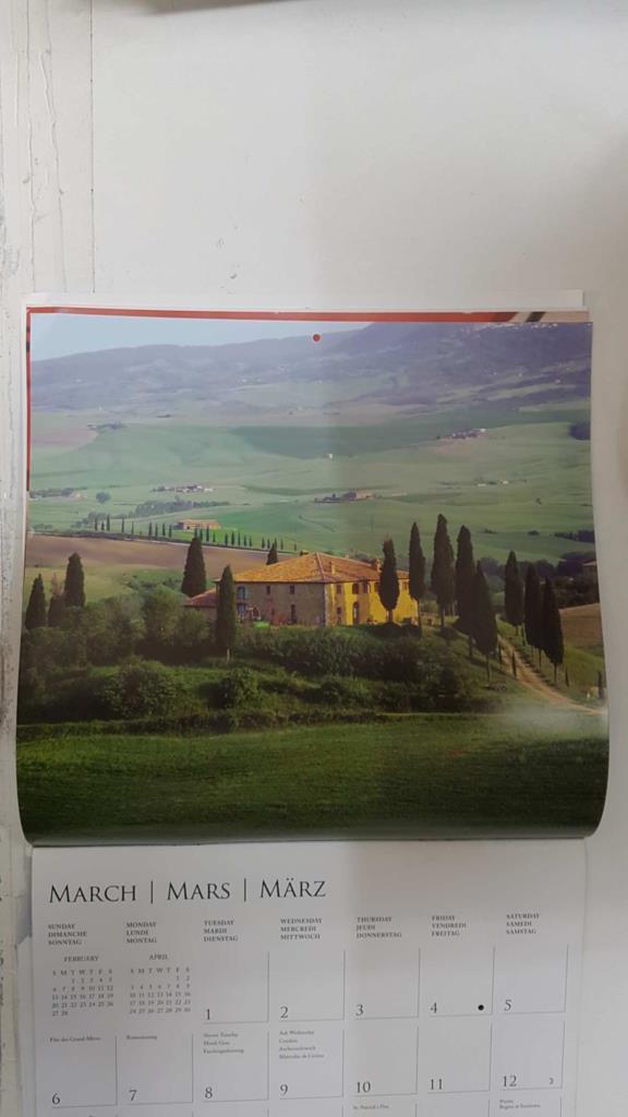 Calendario / Kalender / Calendrier / Calendar: 2011 : Tuscany (La toscana) - lamina 03, Tuscan landscape with italian cypress trees