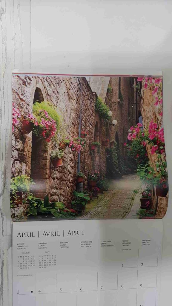 Calendario / Kalender / Calendrier / Calendar: 2011 : Tuscany (La toscana) - lamina 04, Flower-lined street in Tuscan hill town