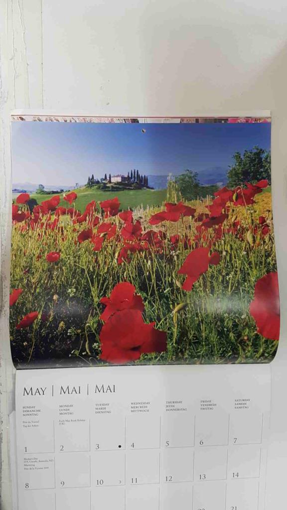 Calendario / Kalender / Calendrier / Calendar: 2011 : Tuscany (La toscana) - lamina 05, San Quirico D'Orcia
