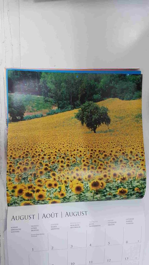 Calendario / Kalender / Calendrier / Calendar: 2011 : Tuscany (La toscana) - lamina 08, A classic Tuscan view