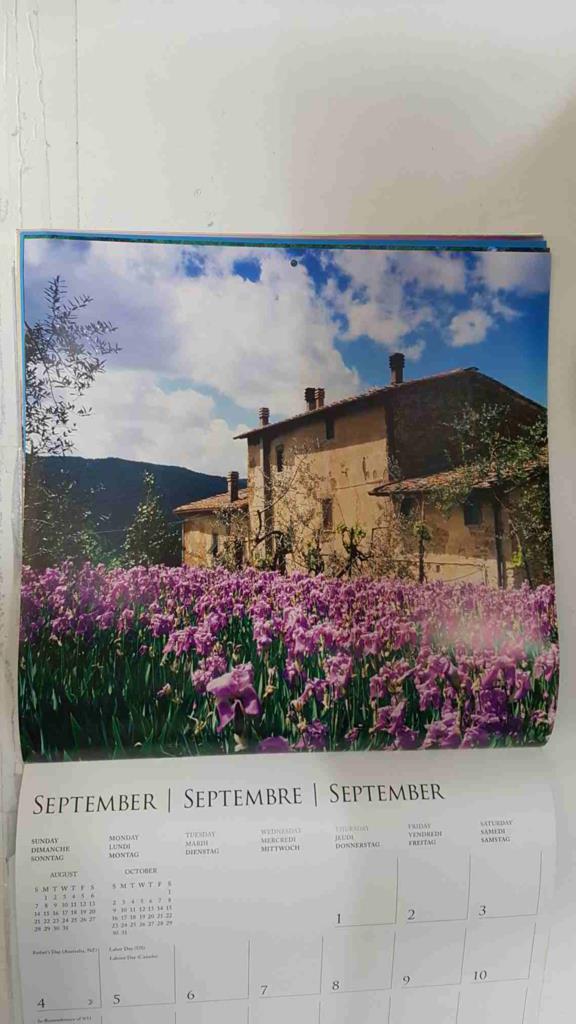 Calendario / Kalender / Calendrier / Calendar: 2011 : Tuscany (La toscana) - lamina 09, Asciano
