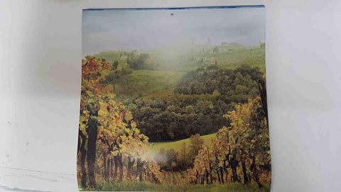 Calendario / Kalender / Calendrier / Calendar: 2011 : Tuscany (La toscana) - lamina 11, Vineyards near San Gimignano (Siena)