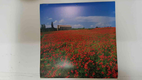Calendario / Kalender / Calendrier / Calendar: 2011 : Tuscany (La toscana) - lamina 12, Villa in field of poppies