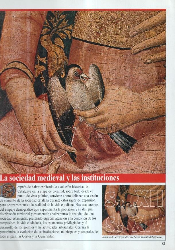 Historia de Catalunya: fasciculo : La sociedad medieval y las instituciones
