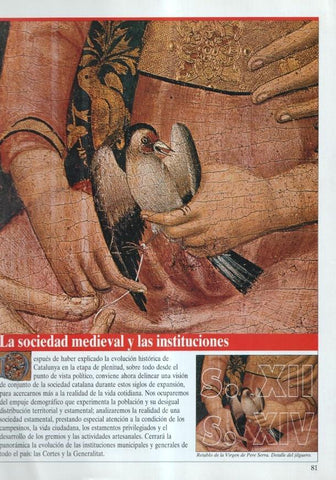 Historia de Catalunya: fasciculo : La sociedad medieval y las instituciones