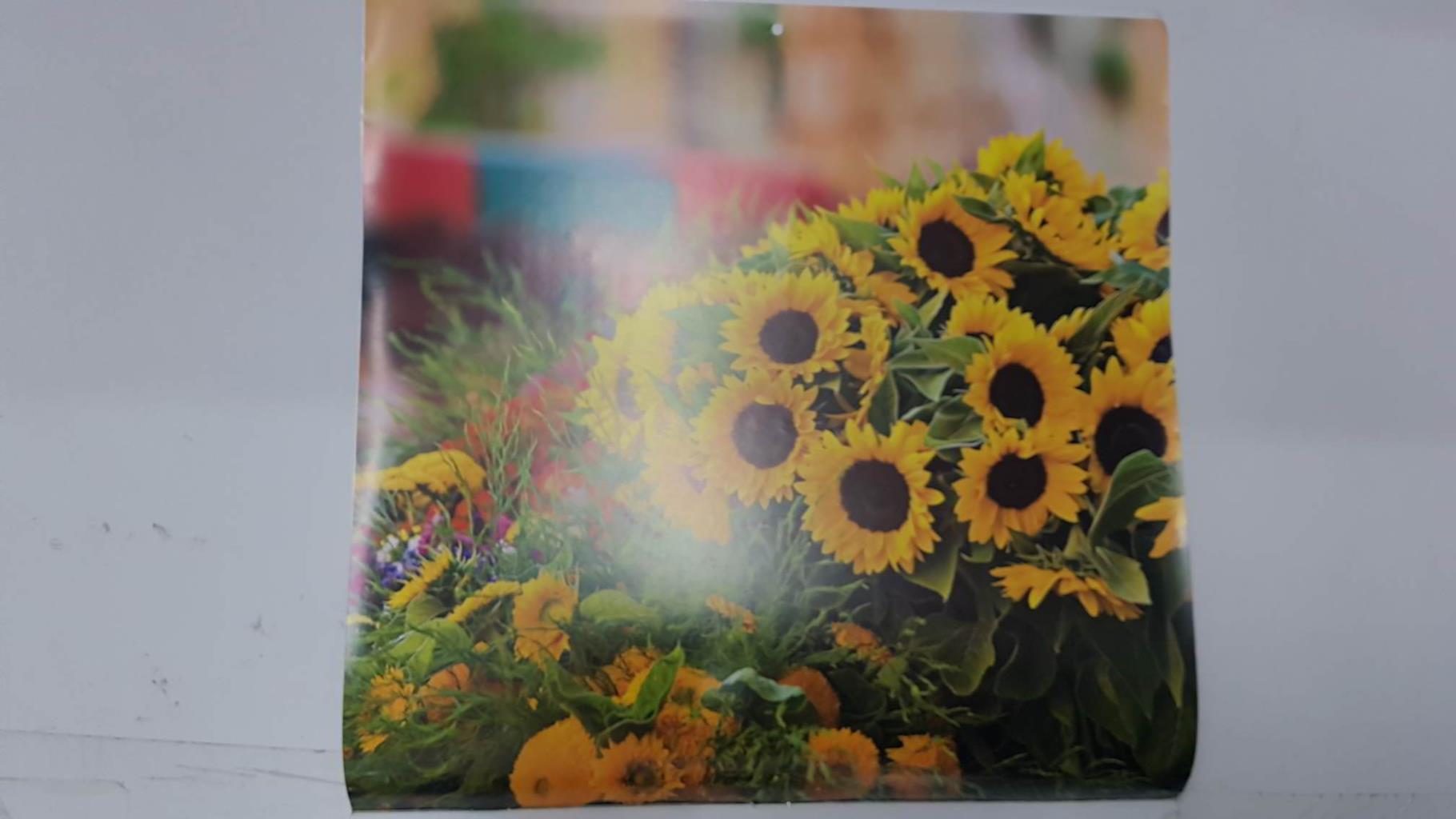 Calendario / Kalender / Calendrier / Calendar: 2011 : Esprit provençal (foto Camille Moirenc) - lamina 01
