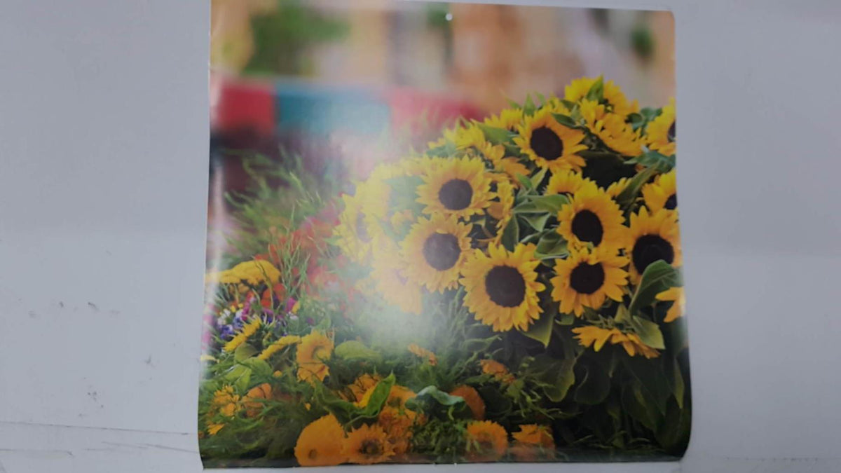 Calendario / Kalender / Calendrier / Calendar: 2011 : Esprit provençal (foto Camille Moirenc) - lamina 01