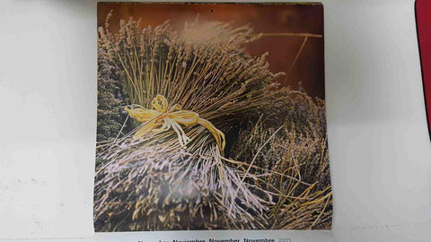 Calendario / Kalender / Calendrier / Calendar: 2011 : Esprit provençal (foto Camille Moirenc) - lamina 11