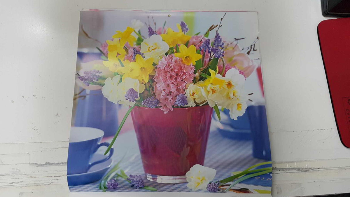 Calendario / Kalender / Calendrier / Calendar: 2011 : Roses (Rosas en maceta) - lamina 03, Narcissus