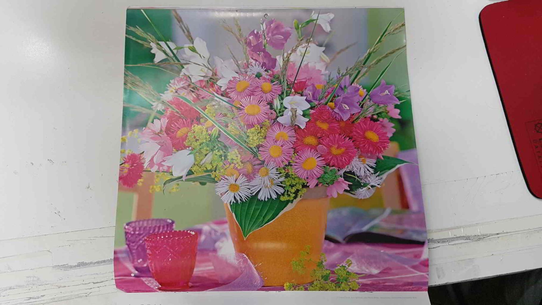 Calendario / Kalender / Calendrier / Calendar: 2011 : Roses (Rosas en maceta) - lamina 06, Bellflower, Lady's Mantle, Mallow