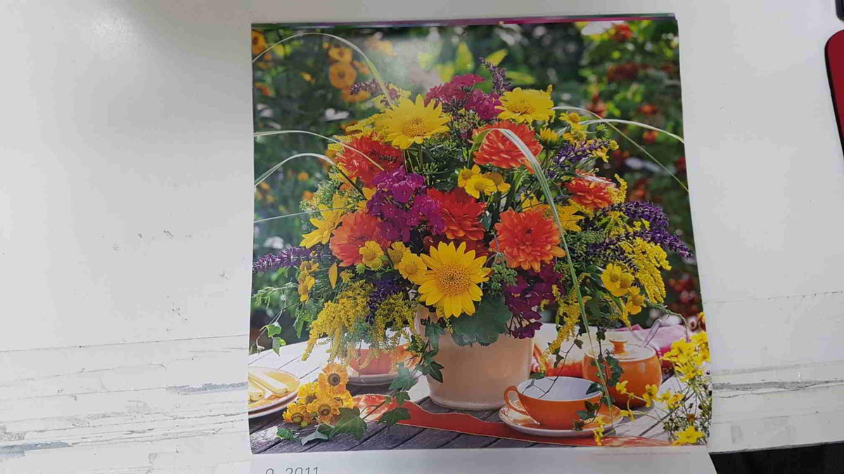 Calendario / Kalender / Calendrier / Calendar: 2011 : Roses (Rosas en maceta) - lamina 09, Dahlia, Sunflower, Goldenrod