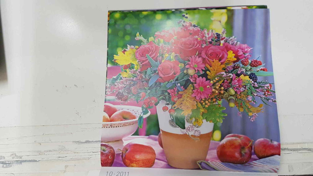 Calendario / Kalender / Calendrier / Calendar: 2011 : Roses (Rosas en maceta) - lamina 10, Rose