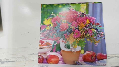 Calendario / Kalender / Calendrier / Calendar: 2011 : Roses (Rosas en maceta) - lamina 10, Rose