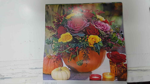 Calendario / Kalender / Calendrier / Calendar: 2011 : Roses (Rosas en maceta) - lamina 11, Rose