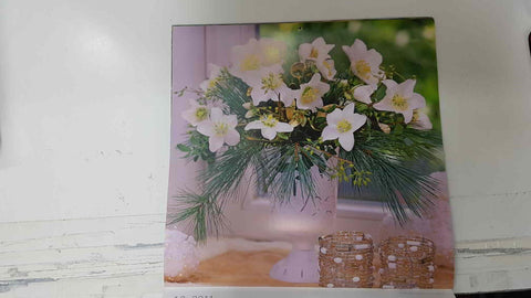 Calendario / Kalender / Calendrier / Calendar: 2011 : Roses (Rosas en maceta) - lamina 12, Christmas rose