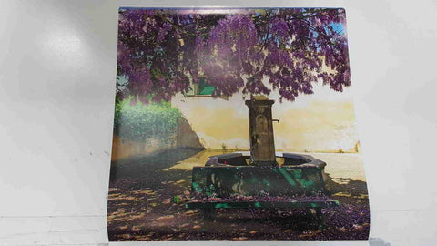 Calendario / Kalender / Calendrier / Calendar: 2011 : Provence (fotos Dominique Zintzmeyer) - lamina 06, Wisteria, La Motte d'Aigues