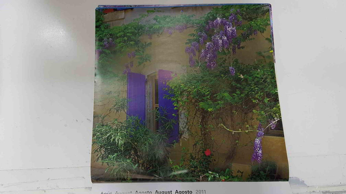 Calendario / Kalender / Calendrier / Calendar: 2011 : Provence (fotos Dominique Zintzmeyer) - lamina 08, Village house with wisteria