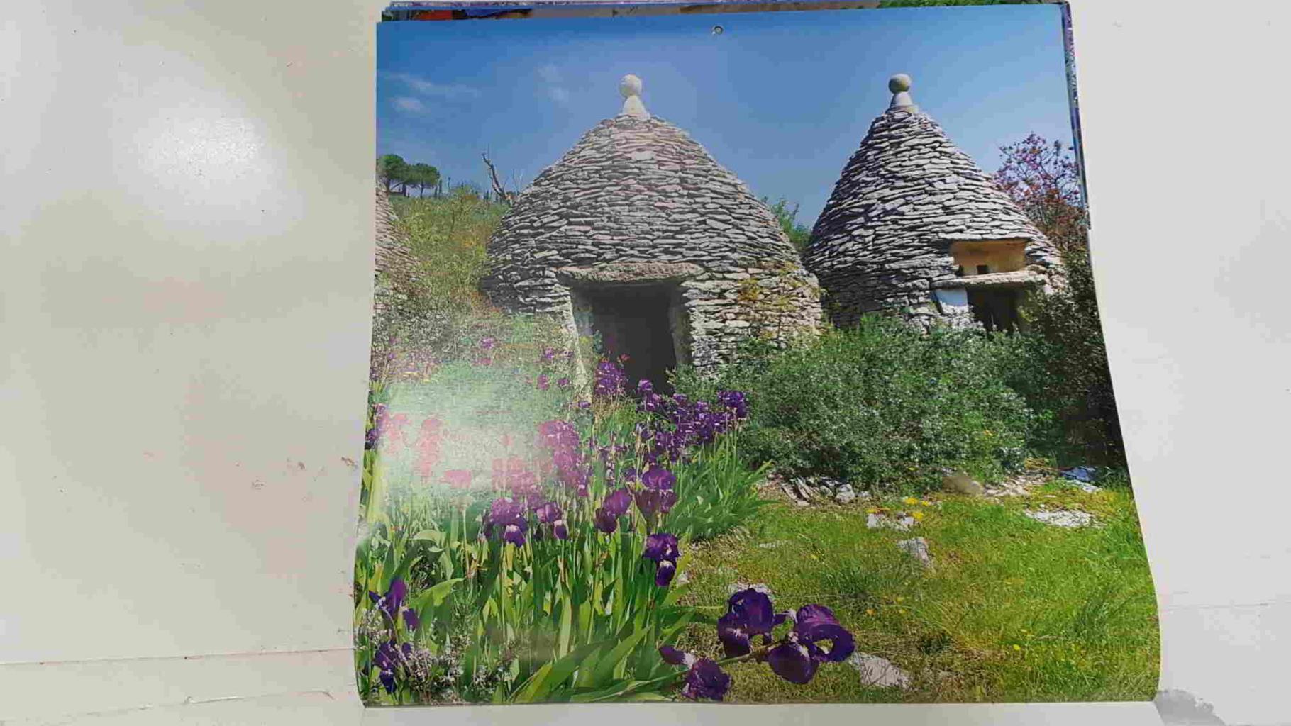 Calendario / Kalender / Calendrier / Calendar: 2011 : Provence (fotos Dominique Zintzmeyer) - lamina 09, Bories (Luberon)