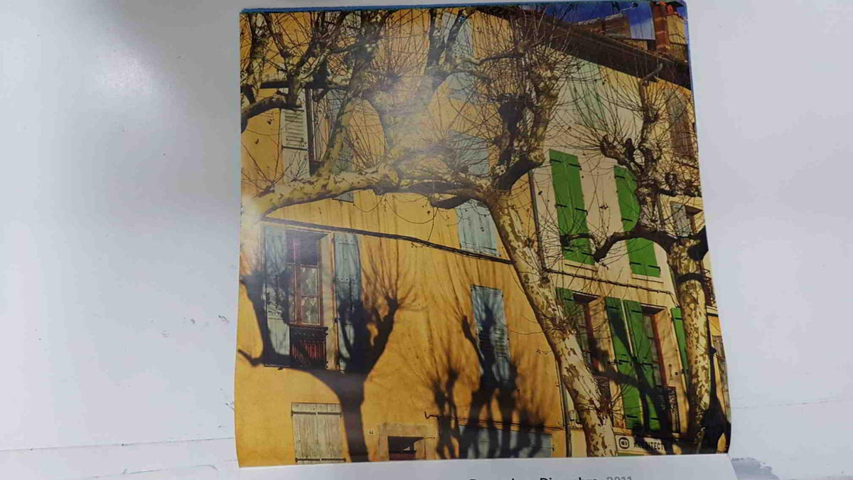 Calendario / Kalender / Calendrier / Calendar: 2011 : Provence (fotos Dominique Zintzmeyer) - lamina 12, Houses in winter (Riez)