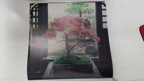Calendario / Kalender / Calendrier / Calendar: 2011 : Bonsais - lamina 07, Bonsai in bloom