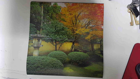 Calendario / Kalender / Calendrier / Calendar: 2011 : Jardins Zen (Jardin Zen) - lamina 12, Acer with autumn foliage and clipped shrubs below, Kohrin-in