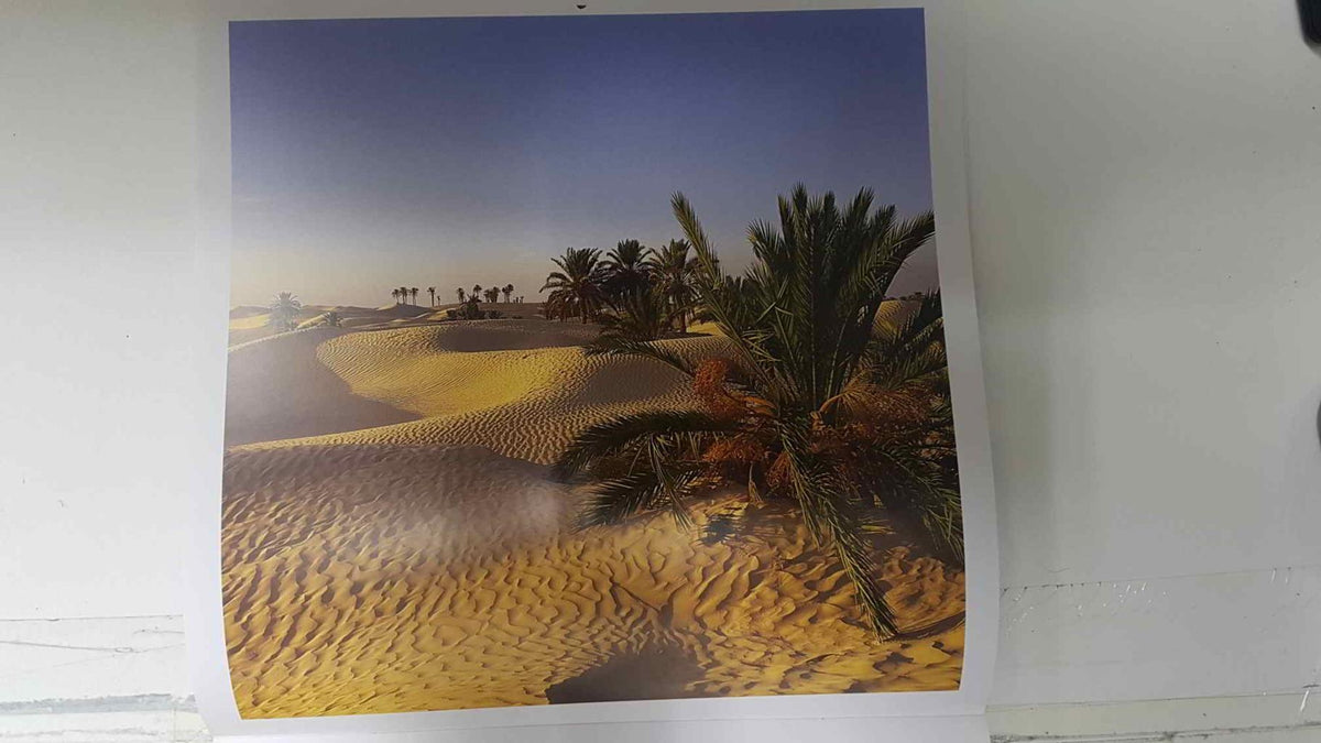 Calendario / Kalender / Calendrier / Calendar: 2011 : Mediterranean colors (color mediterraneo) - lamina 04