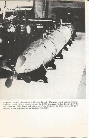 LAMINA 27048: Torpedo Mignatta