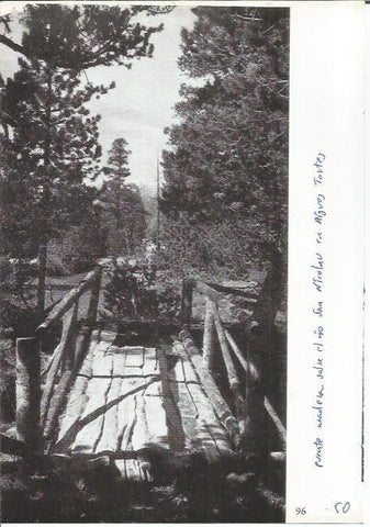 LAMINA 27034: Puente de madera en Aigues Tortes