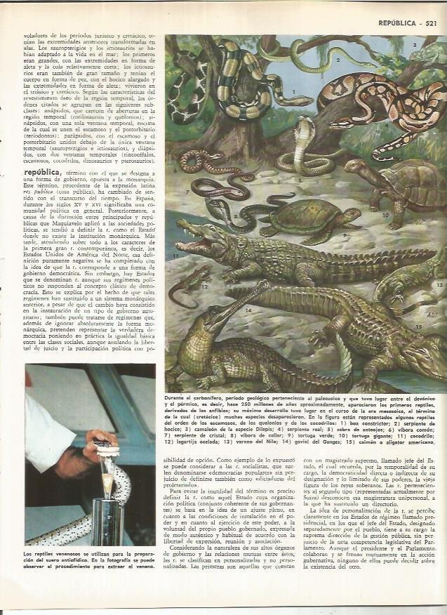 LAMINA MONITOR 01095: Reptiles