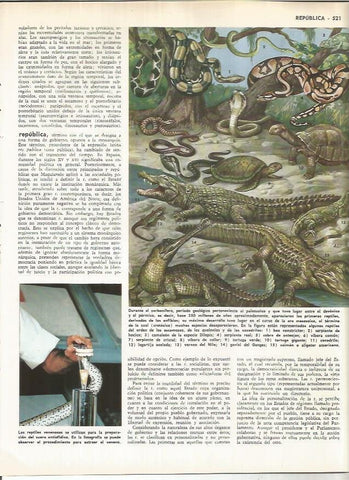 LAMINA MONITOR 01095: Reptiles