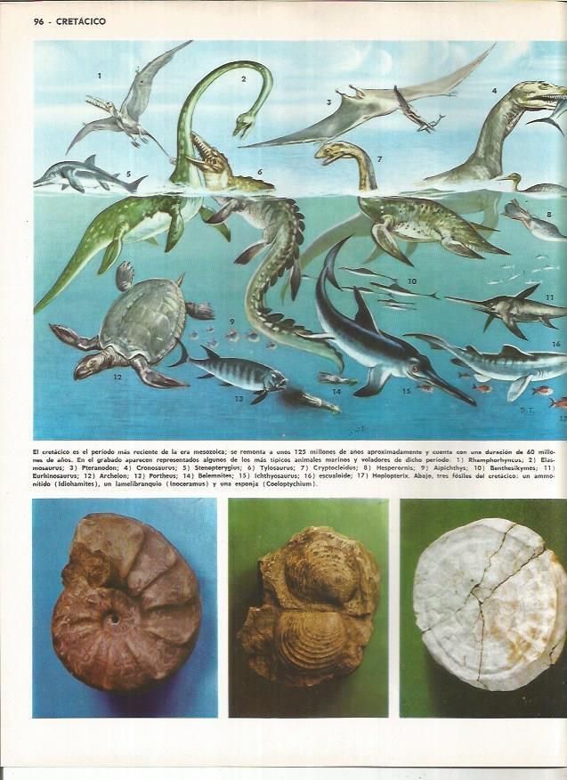 LAMINA MONITOR 01118: Animales del cretacico