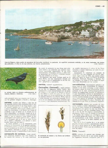 LAMINA MONITOR 01105: Vista de Polperro, Gran Bretaña
