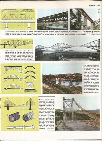 LAMINA MONITOR 01067: Tipos de puente