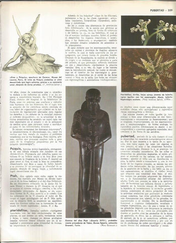 LAMINA MONITOR 01066: Estatua del dios egipcio Ptah