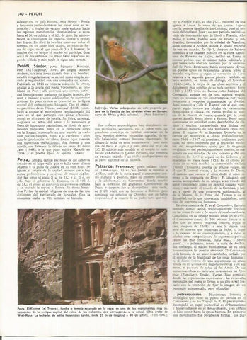 LAMINA MONITOR 01039: Petirrojo y El Templo de Petra, Jordania