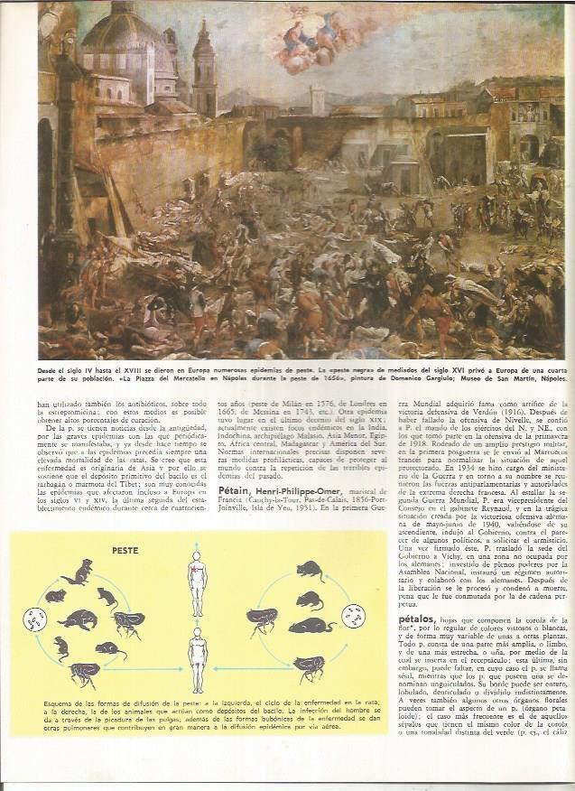 LAMINA MONITOR 01038: La piazza del Mercatello en Napoles durante la peste de 1656, por Gargiulo