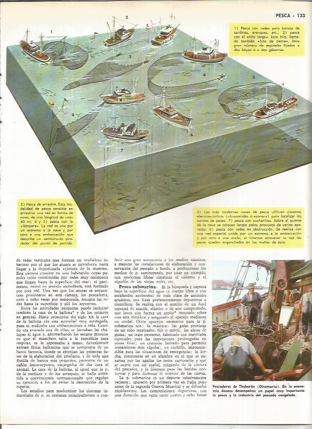 LAMINA MONITOR 01037: Tipos de pesca